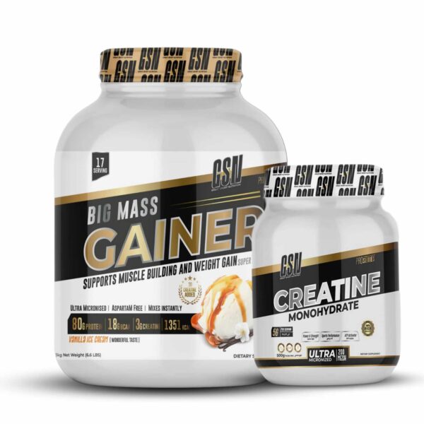 PACK GSN 2 | BIG MASS GAINER 3KG + CREATINE 500G